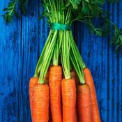 Carrot - Autumn King 2 - D Plant Horticulture image