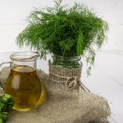 Dill - Herb Seeds - D Plant Horticulture image