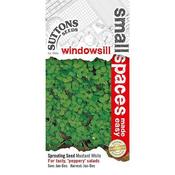 Mustard - White - D Plant Horticulture image