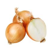 Onion - Ailsa Craig - D Plant Horticulture image