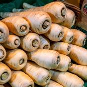 Parsnip - Gladiator F1 - D Plant Horticulture image