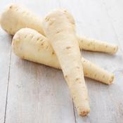 Parsnip - White Gem - D Plant Horticulture image