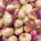 Turnip - Purple Top Milan - D Plant Horticulture image