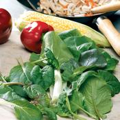 Speedy Veg Leaf Salad - Stir Fry Mix - D Plant Horticulture image