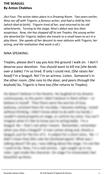 The Seagull (Nina Speaking)