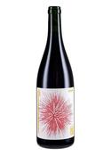 Sette Grignolino