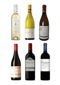 Upgrade Package Red &amp; White Tasting Box
