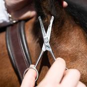 Smart Grooming Safety Scissors 4.5"