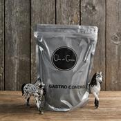 Chia de Gracia Gastro Control