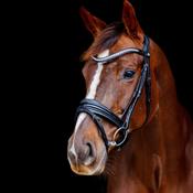 SD Design Snaffle Bridle Romanov