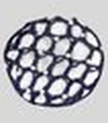 Waldhausen Hairnet with Pearls