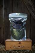 Chia de Gracia Nettle
