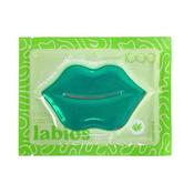 1699 Aloe Vera Lip Mask | Dublin Body Paint image