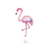 Sioou Temporary Tattoo Flamingo (Pack of 5) | Dublin Body Paint