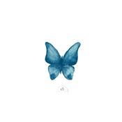 Sioou Temporary Tattoo Butterfly (Pack of 5) | Dublin Body Paint image