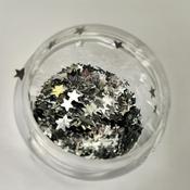 Cosmetic Glitter Stars Loose - Silver | Dublin Body Paint