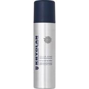 Kryolan Colour Spray - D21 Silver (Suitable for Skin and Hair) | Dublin Body Paint image
