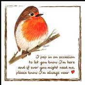 Little Red Robins 1 Card | Robin Greeting Card (LRR1) - Duiske Glass Kilkenny image