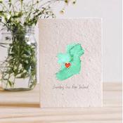 Plantable Seed Card – Send Love From Ireland - Duiske Glass Kilkenny