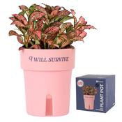 Fisura "I Will Survive" Self-Watering Plant Pot – Pink Novelty Gift(HGA2621501) - Duiske Glass Kilkenny image
