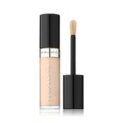 Eva Garden Concealer Light Up 341 | Dun A Ri Holistic image