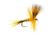 Fulling Mill Jackies Yellow May