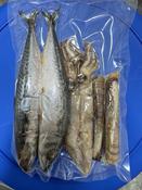 DeadBait Frozen Sea Pack