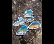 Zebco Target Fish Air Freshener