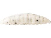 Westin Maggot Garlic Cheese 4.8cm 2.2g Floating White image