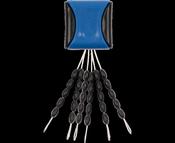 Zebco Trophy Oval Stoppers