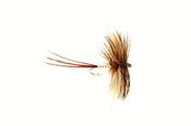 Fulling Mill Mayfly Lunn's Spent Gnat image