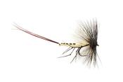 Fulling Mill McPhail Spent Mayfly image