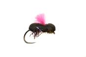 Fulling Mill Procters Target Beetle Barbless Pink image