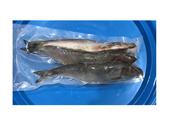 DeadBait Frozen Herring
