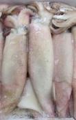 DeadBait Frozen Squid Bag 3-4pcs