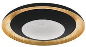 GOLD/BLACK/GRANULATED 'CANICOSA 2 | 98527 image