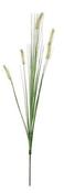 DOGTAIL GRASS GREEN - L84CM | EDEL1005562