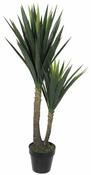 YUCCA IN POT H120CM | EDEL1026451