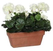GERANIUM WHITE IN BALCONY TRAY  | EDEL1044340