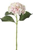 HYDRANGEA L. PINK - L51CM | EDEL1073214