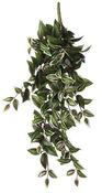 TRADESCANTIA HANGING L54XW20XH15CM | EDEL1074942