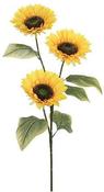 SUNFLOWER YELLOW - L92CM | EDEL1074995