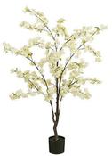 BLOSSOM TREE IN POT CREAM  | EDEL1108568