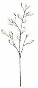 MAGNOLIA WHITE - L112XW25XH5CM | EDEL1117284