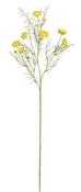 RANUNCULUS YELLOW - L74CM | EDEL1131760
