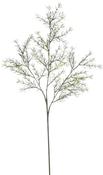 ASPARAGUS BRANCH GREEN - L66CM
 | EDEL1131769