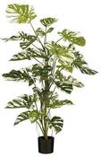 MONSTERA TREE GREEN - H140XD120CM | EDEL1140085 image