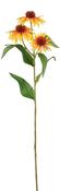ECHINACEA ORANGE - L62CM
 | EDEL1150702
