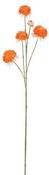 DAHLIA ORANGE LEAFLESS - L87CM | EDEL1159755