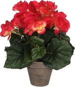 BEGONIA PINK IN POT ARTIFICIAL | EDEL977006